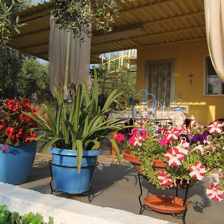 Joanna'S House Villa Skála Kallirákhis Екстериор снимка