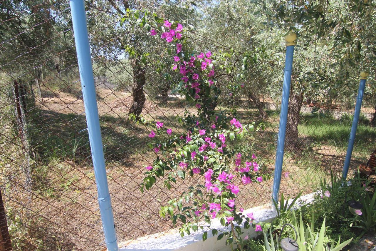 Joanna'S House Villa Skála Kallirákhis Екстериор снимка